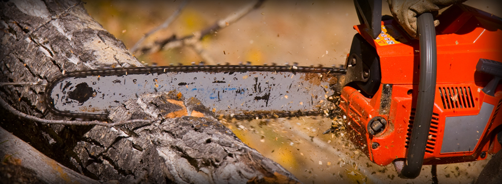 chainsaw through a tree trunk